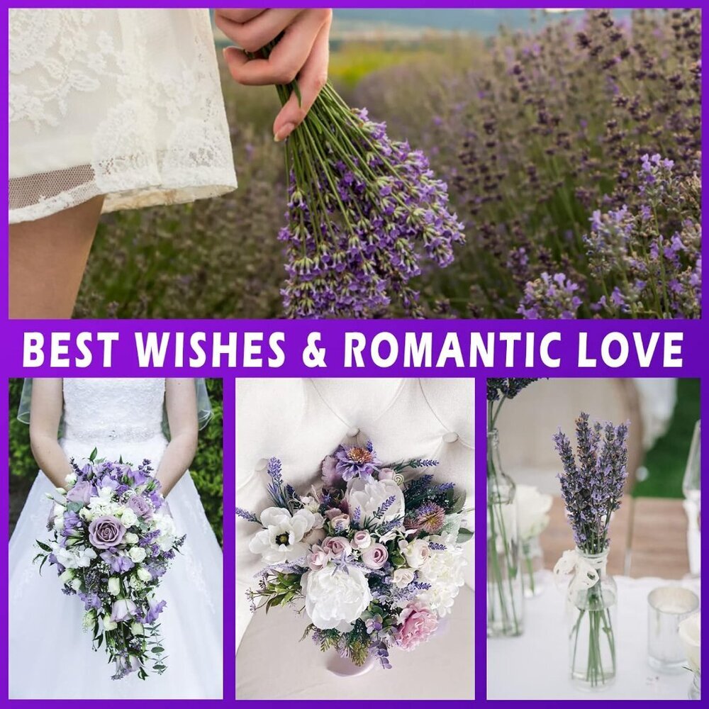 Dried Lavender Bundles, Natural Dried Lavender Flowers 280-300 Stems 16“ for Hom - Picture 9 of 9
